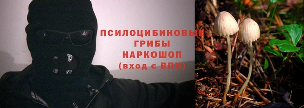 стафф Балахна