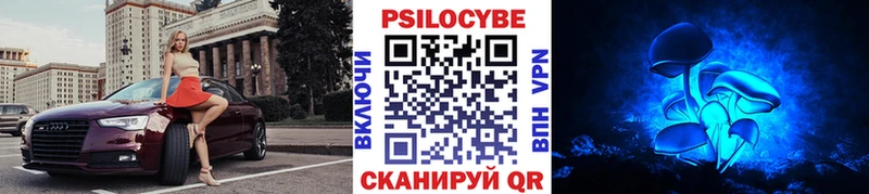 где купить Светогорск MEGA ССЫЛКА Псилоцибиновые грибы Psilocybe