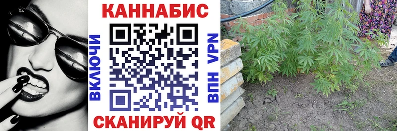 наркошоп  Светогорск  МАРИХУАНА SATIVA & INDICA 